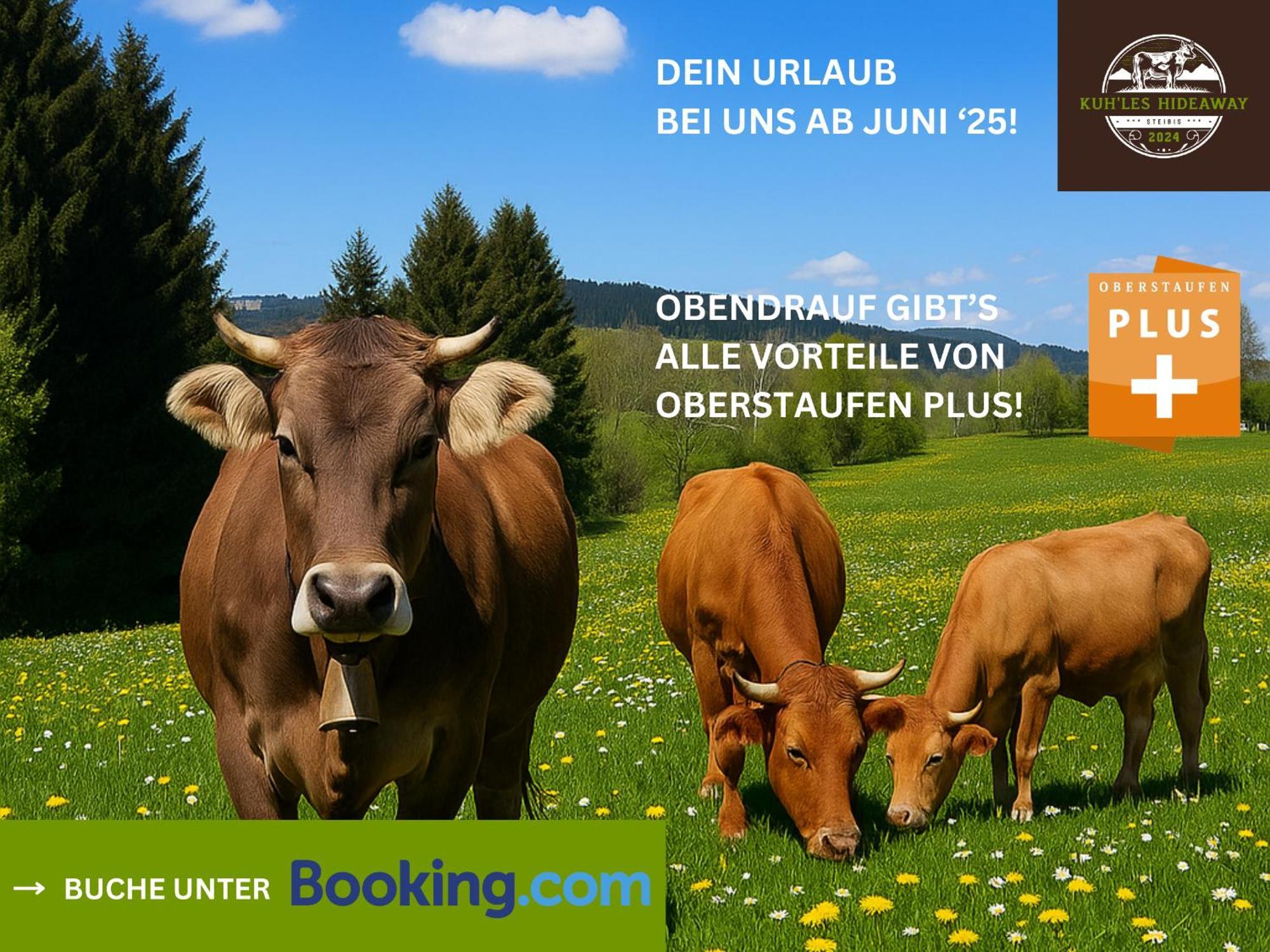 Kuh'Les Hideaway Steibis 3-Zimmer Ferienwohnung 55 M² Oberstaufen Dış mekan fotoğraf